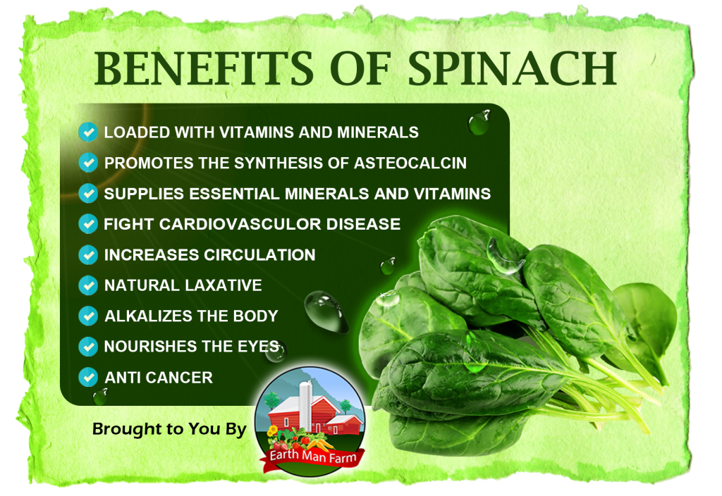 spinach infographic